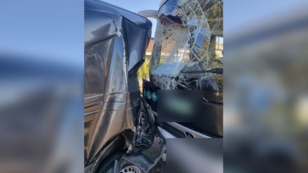 Глава СК заинтересовался ДТП с 6 ранеными пассажирами маршрутки в Воронеже