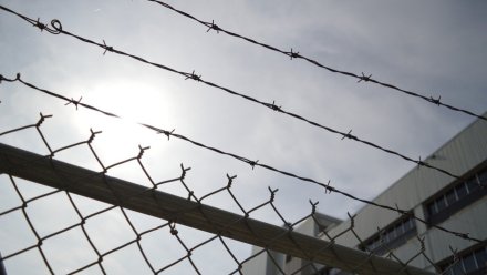 25-летнего воронежца отправили в колонию после драки в пивной
