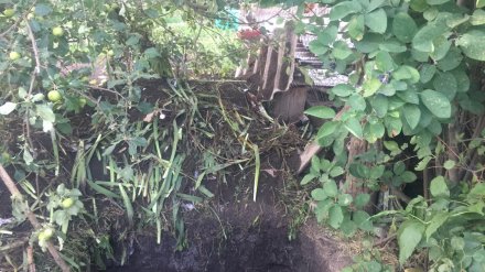 В Воронежской области будут судить женщину, похоронившую во дворе убитого мужа