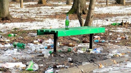 Воронежцы помогут дворникам убрать городские улицы с помощью соцсетей