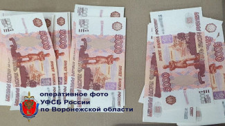 Под Воронежем дагестанца приговорили к 4 годам колонии за сбыт фальшивых денег