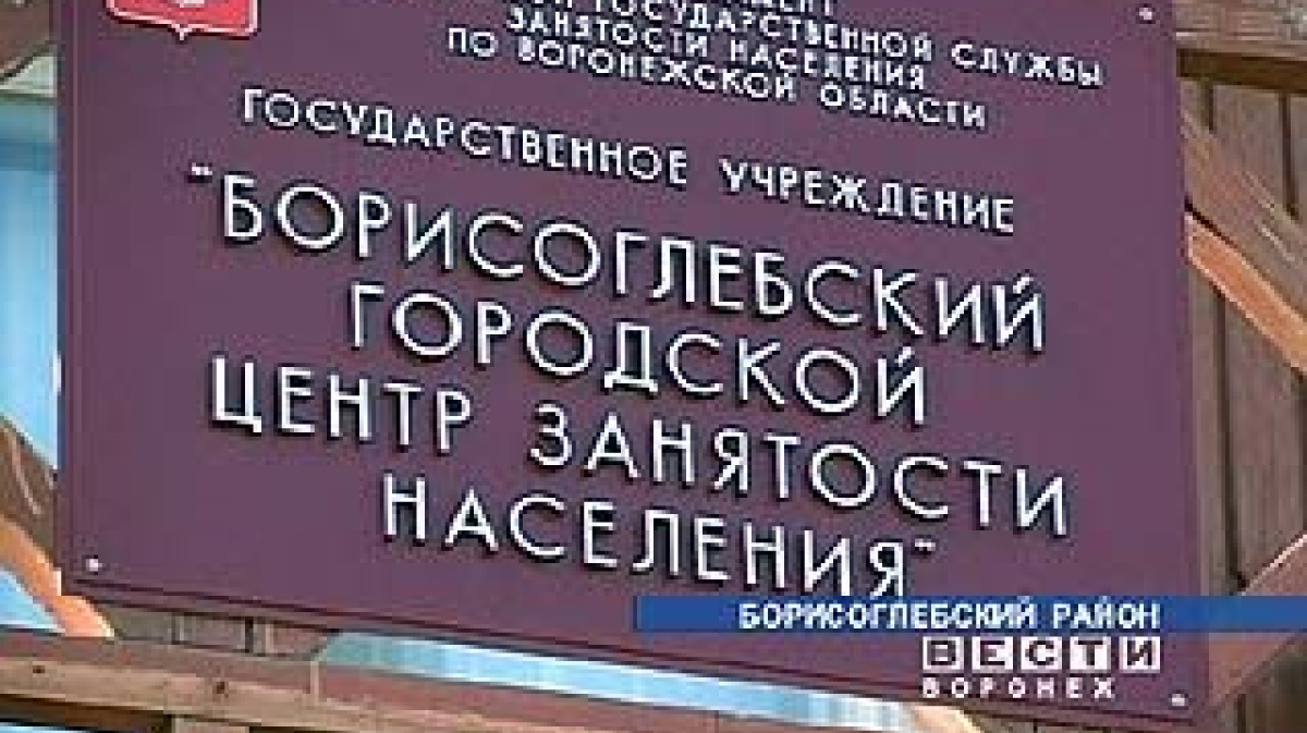 Сайт центра занятости вельск. Центр занятости населения Борисоглебск. Центр занятости Воронеж. Центр занятости Борисоглебск Воронежской области. ЦЗН Борисоглебск директор.