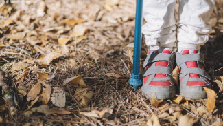 В Воронежской области нашли трупы 6 пропавших без вести