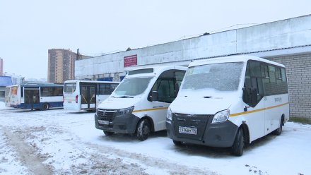 В Воронеже запланировали скорректировать семь востребованных автобусных маршрутов