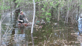 В воронежском заповеднике горы мусора ушли под воду из-за разлива реки