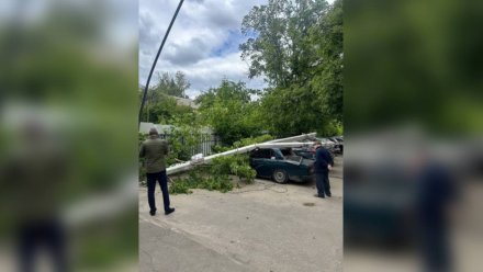 Полицейские поделились подробностями ЧП с рухнувшим столбом в Воронеже