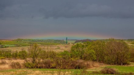 В Воронежской области сфотографировали редкую горизонтальную радугу