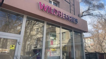 В Воронеже Wildberries восстановил работу приложения