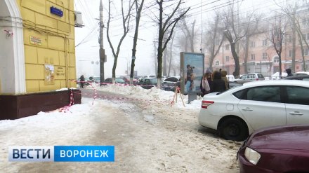Пострадавшая из-за глыбы льда в центре Воронежа женщина оказалась главным хранителем музея