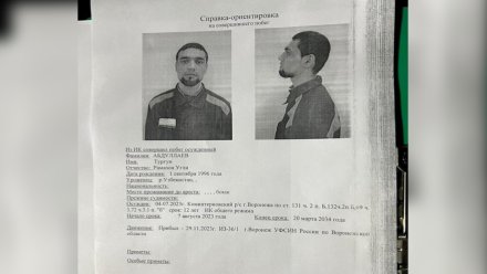 Сбежавшего из липецкой колонии зэка задержали в Тамбовской области