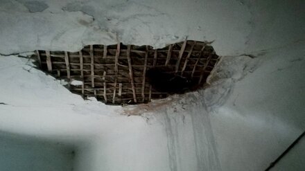 Дыры в потолке и отсутствие воды. Воронежец пожаловался на ужасные условия жизни бабушки