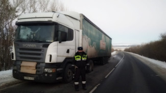 Сотрудники ДПС помогли водителю грузовика, застрявшего в мороз на воронежской дороге