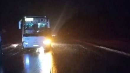 В Воронежской области рейсовый автобус сбил насмерть мужчину