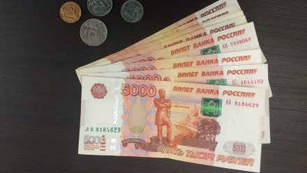 Воронежцы назвали желаемый размер зарплаты