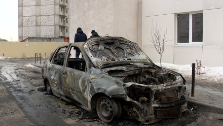 Воронежцы собрали 240 тысяч для семьи преподавателя ВГУ после скандала с поджогом авто