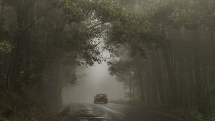 Метеорологи предупредили воронежцев об опасном тумане 