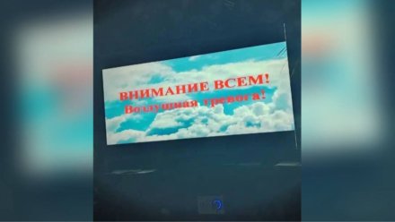 Ракетную опасность объявили в Воронежской области днём 30 января