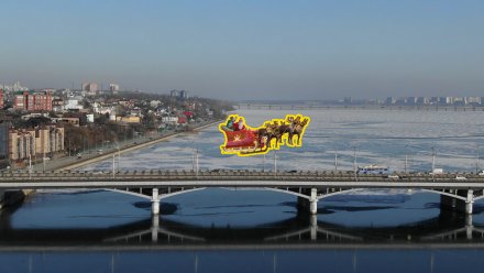 Троллей над Воронежем предложили превратить в упряжку Деда Мороза с оленями