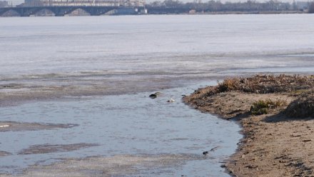 На Воронежском водохранилище зафиксировали подъём уровня воды