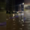 Воронежцы сняли на видео ночной заплыв на сапах по затопленной улице