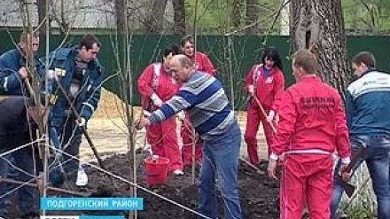 Настоящие подгоренцы во время субботника посадили деревья