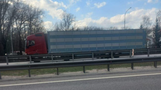 Погибшим на трассе под Воронежем мужчиной оказался житель Смоленской области