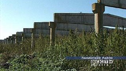 Госнаркоконтроль взялся за уничтожение конопляного поля