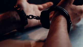 Сбежавший из суда арестованный в Воронеже оказался связан с делом Геннадия Долбни