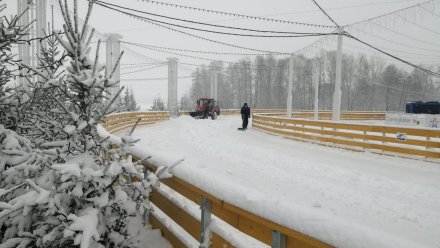 Каток на Адмиралтейской площади в Воронеже закрыли из-за снегопада