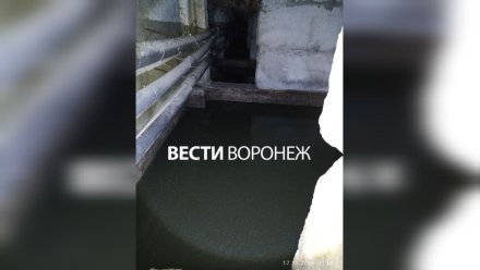 Жителям воронежской 9-этажки назвали причину затопления «подвала ужасов» фекалиями