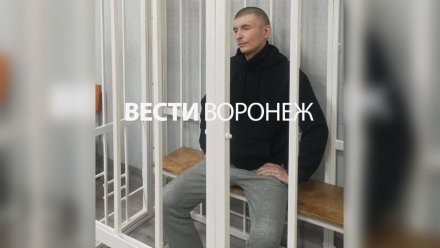 В Воронеже мажора Гусева приговорили к 9 годам колонии за смертельное ДТП