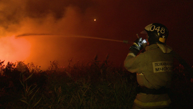 В Воронежской области потушили ландшафтный пожар возле села