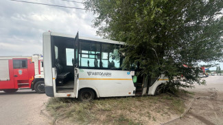 Воронежские полицейские прокомментировали пьяное ДТП с маршруткой