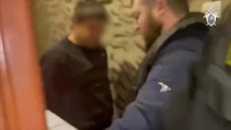 Задержанный за оскорбление русских блогер из Воронежа раскаялся на камеру