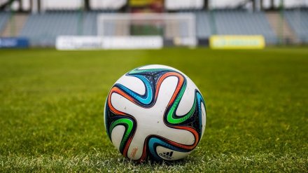 Воронежскому футбольному клубу «Факел» нашли семерых кураторов
