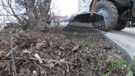 Общегородской субботник перенесли в Воронеже из-за дождя