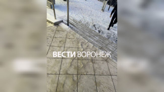 Упавший на ступеньках ТЦ воронежец попытается отсудить 200 тысяч за перелом