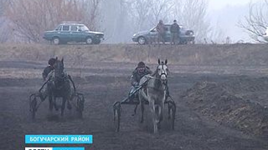 На ипподроме Богучарского района торжественно закрыли скаковой сезон-2014