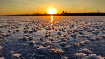 Сказочные ледяные «цветы» появились на Воронежском водохранилище