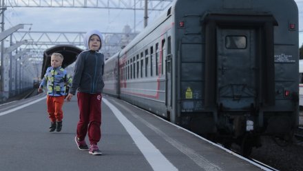 Билеты на поезда из Воронежа в Москву в конце майских полностью раскупили