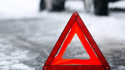 В Воронежской области в ДТП с 2 грузовиками и «Газелью» 1 человек погиб и 2 пострадали