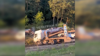 Под Воронежем автовоз с китайскими машинами съехал в кювет: появилось видео