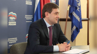 «Единая Россия» приняла более 600 обращений от воронежцев на тему материнства и детства