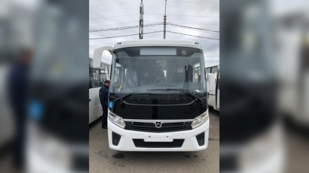На популярный воронежский маршрут выйдут современные автобусы