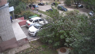Напуганным школьникам пришлось убегать от агрессивных собак в Воронеже: появилось видео