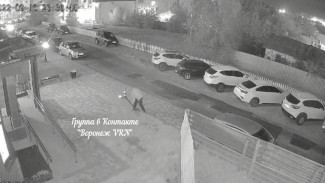 В Воронежской области мужчина под камерами устроил бой с уличным фонарём