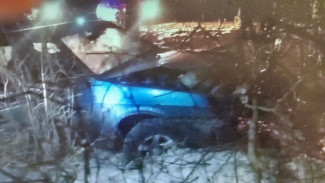 Под Воронежем в больницу попал водитель перевернувшегося автомобиля