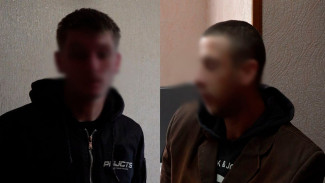 В Воронежской области вынесли приговор двоим автоугонщикам