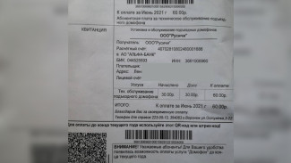 Воронежцам вновь пришли двойные квитанции за домофон