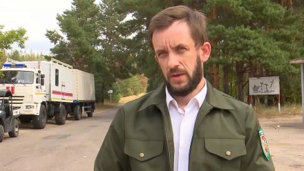 Бывший замглавы управления лесного хозяйства попал под уголовное дело в Воронеже